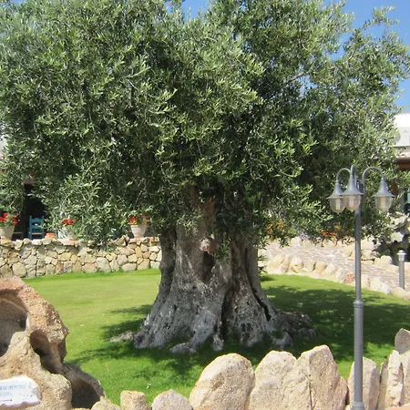 Ξενοδοχείο Nuraghe Arvu 4*