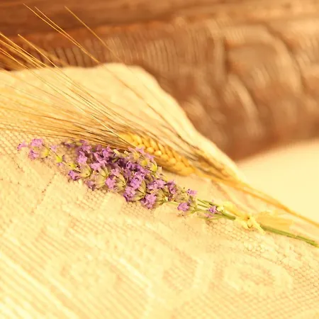 Hotel Nuraghe Arvu 4*